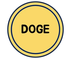 도지 (DOGE) 코인 , 전망